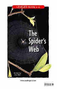 The Spider's Web