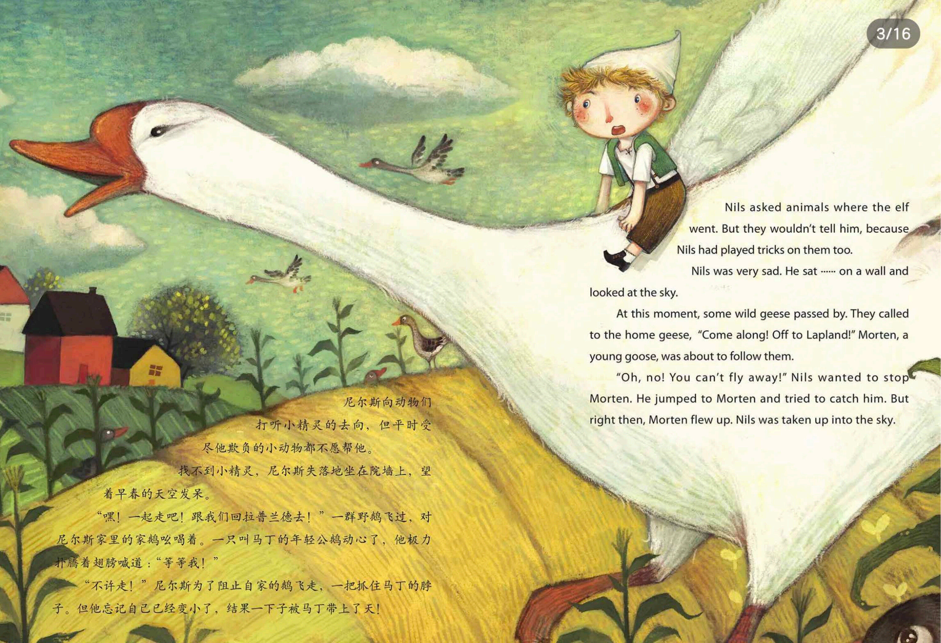 尼尔斯旅行骑鹅记绘本故事第3页