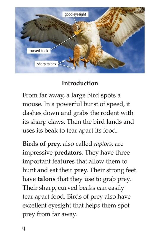 Birds of Prey绘本故事第3页