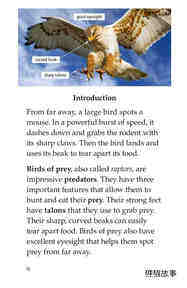 Birds of Prey绘本故事第3页