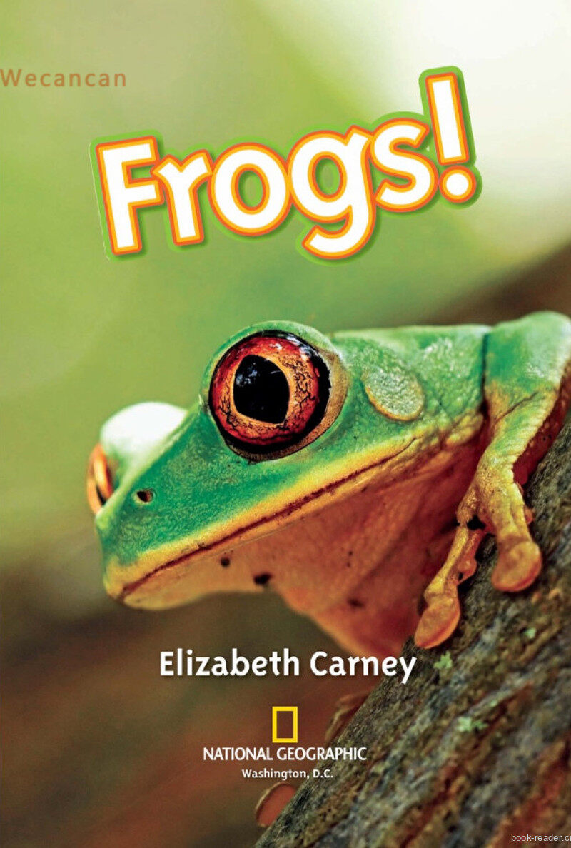 Frogs绘本故事第2页