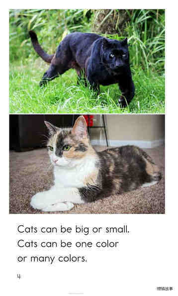 Big and Small Cats绘本故事第4页