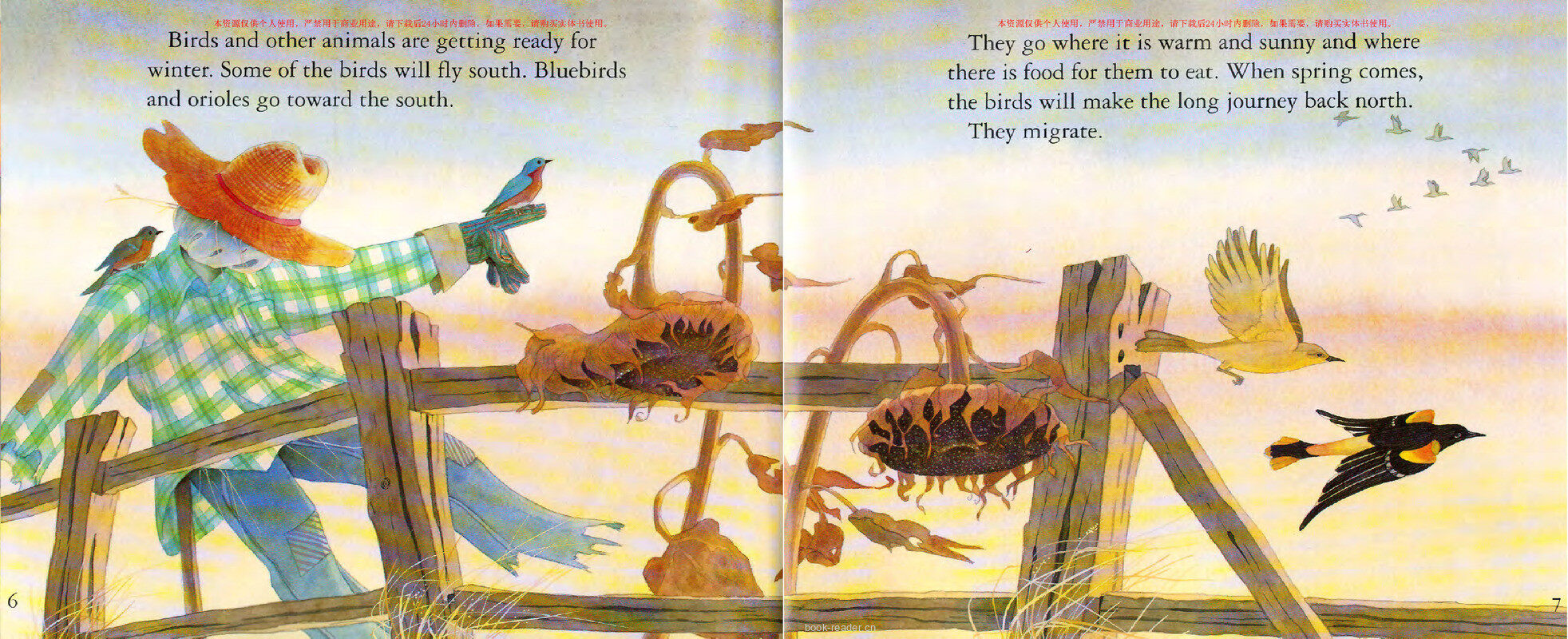 Animals in Winter绘本故事第4页