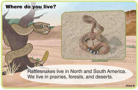 Rattlesnake绘本故事第4页