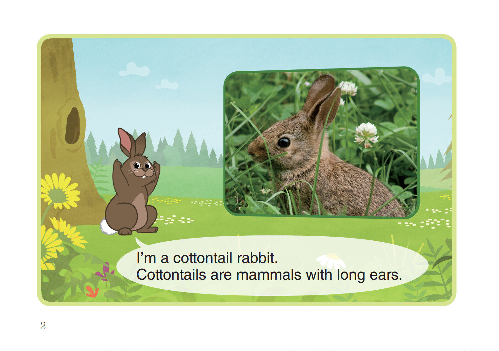 Cottontail Rabbit绘本故事第3页