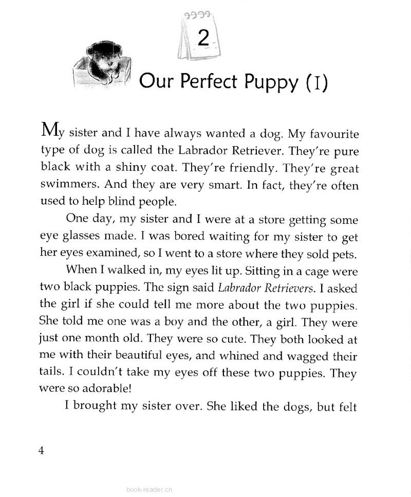 Our Perfect Puppy (I)绘本故事第2页