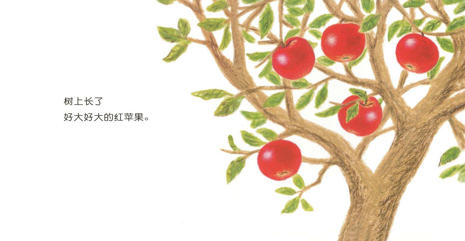 好大的红苹果绘本故事第2页