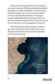 The Amazing Undersea Food Web绘本故事第5页