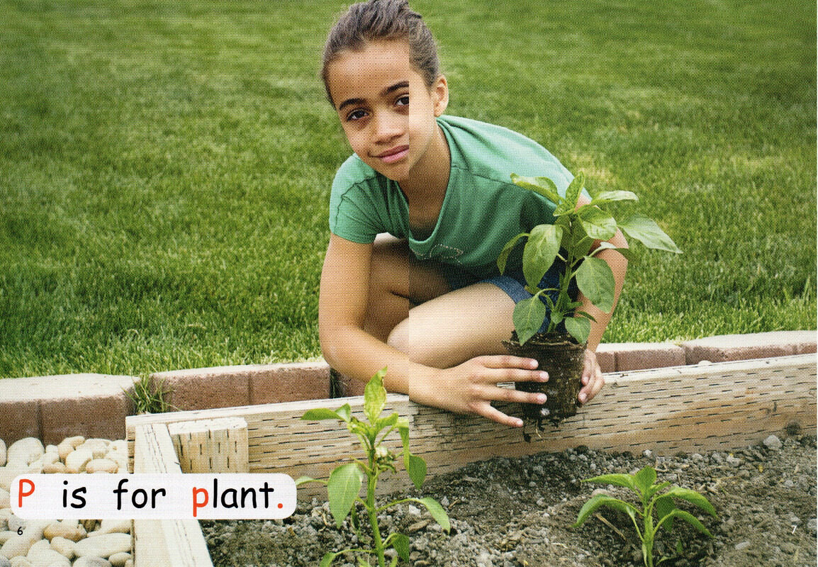 plant a plant绘本故事第5页