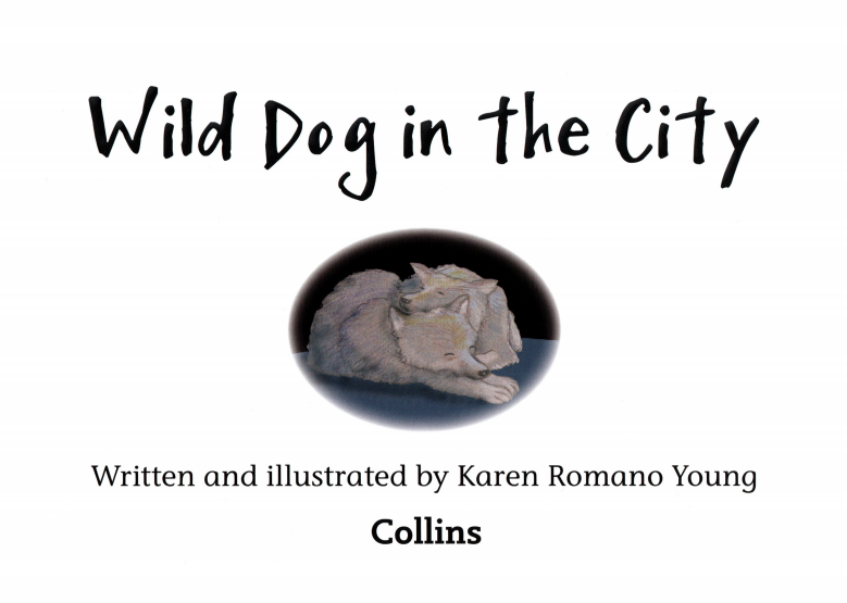 Wild dog in the city绘本故事第2页
