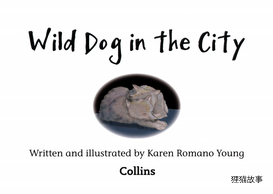 Wild dog in the city绘本故事第2页