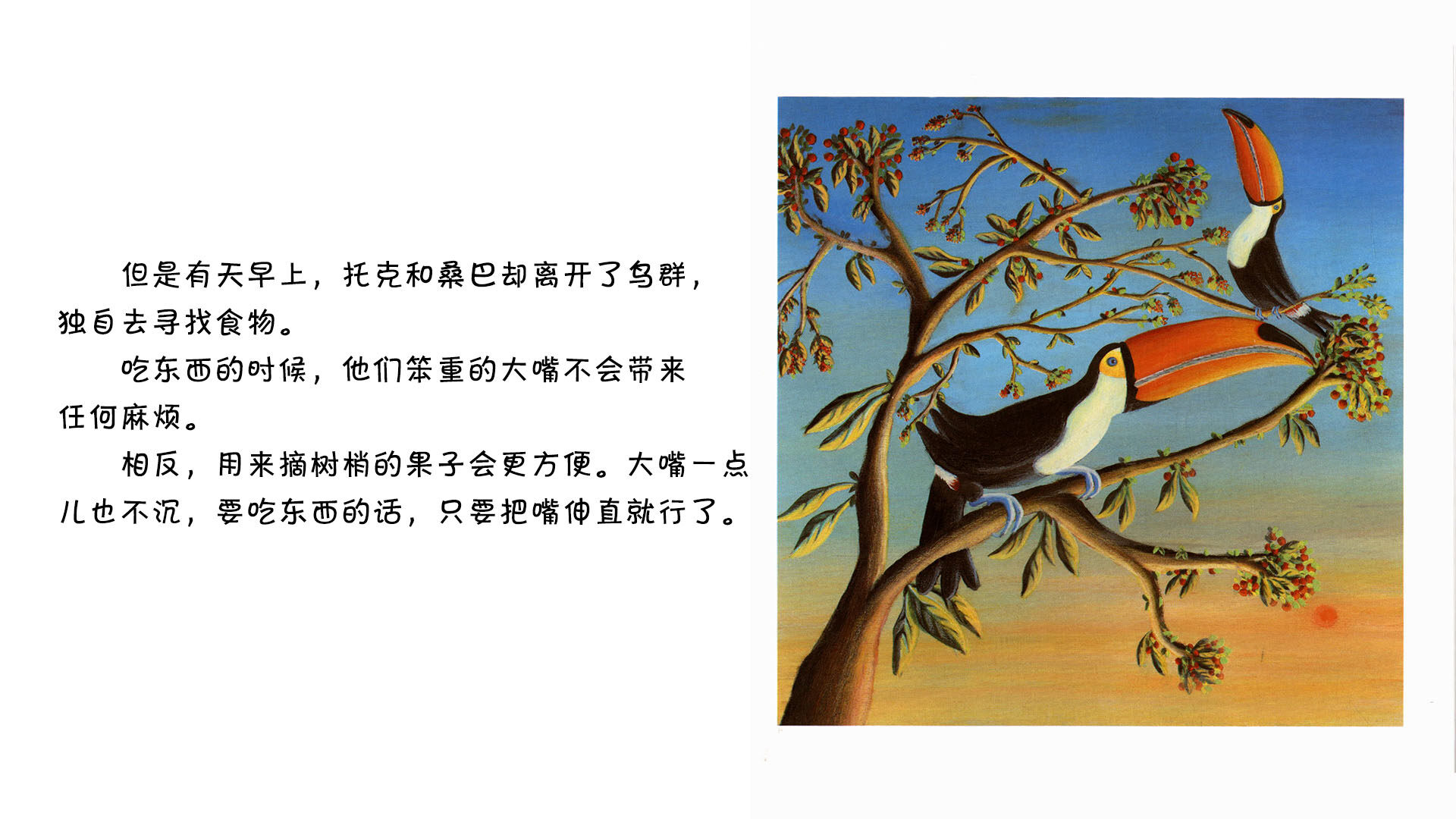 巨嘴鸟绘本故事第5页