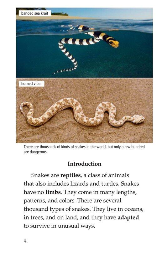 Slithery Snakes绘本故事第3页