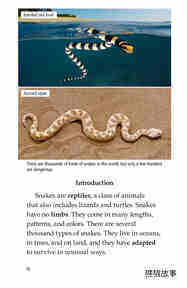 Slithery Snakes绘本故事第3页