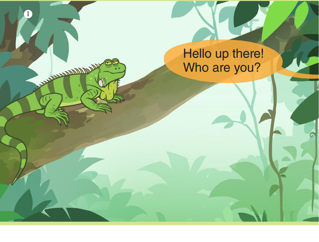 Green Iguana绘本故事第2页