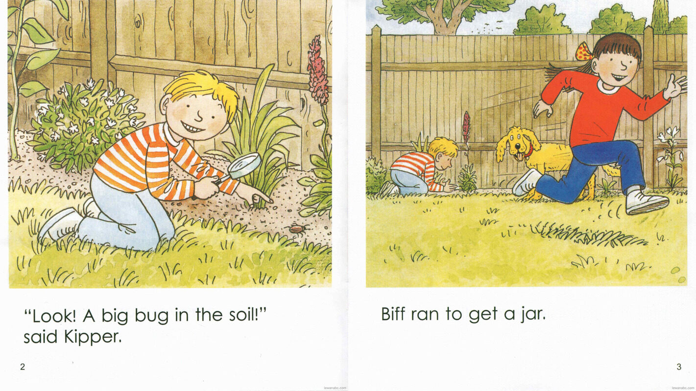 Bug Hunt绘本故事第4页