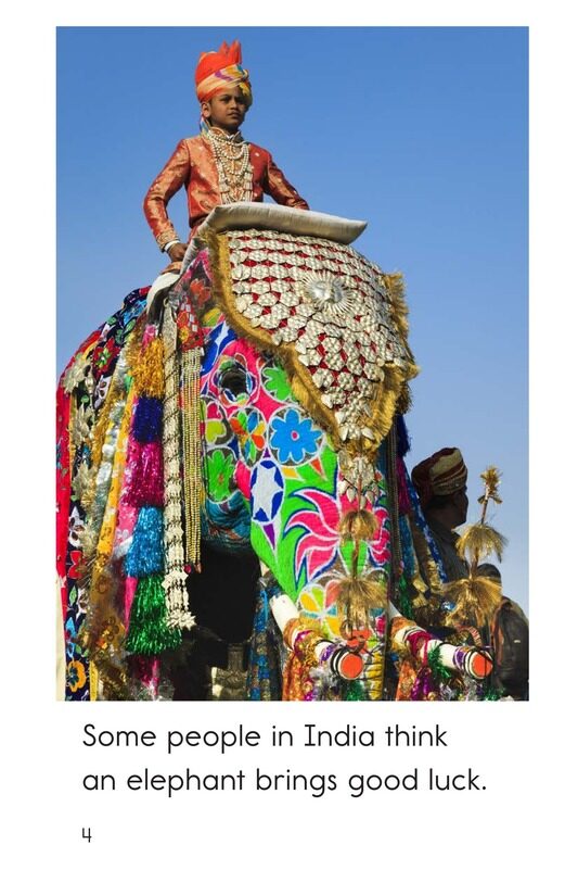 Good Luck!绘本故事第4页