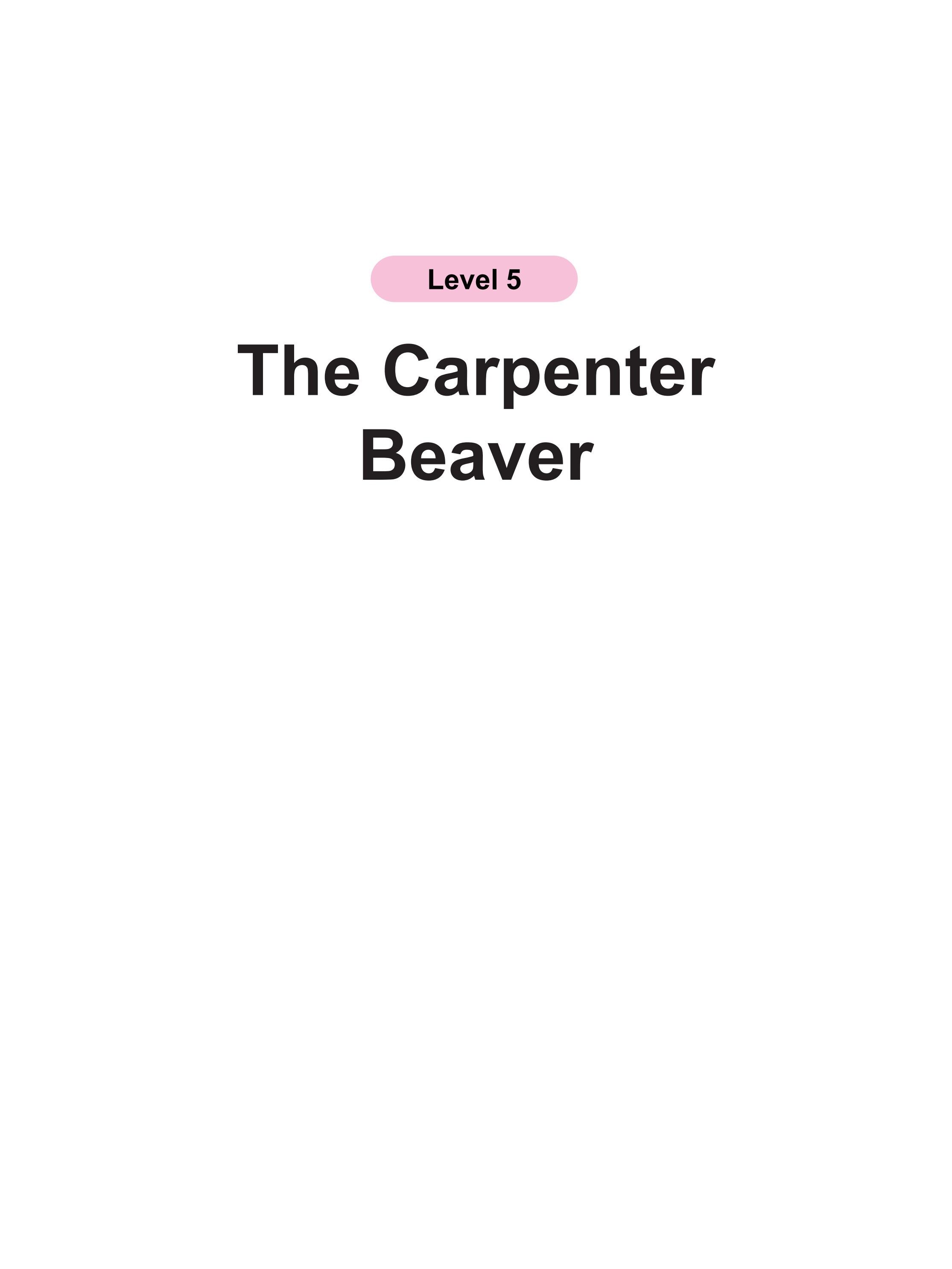 The Carpenter Beaver绘本故事第2页