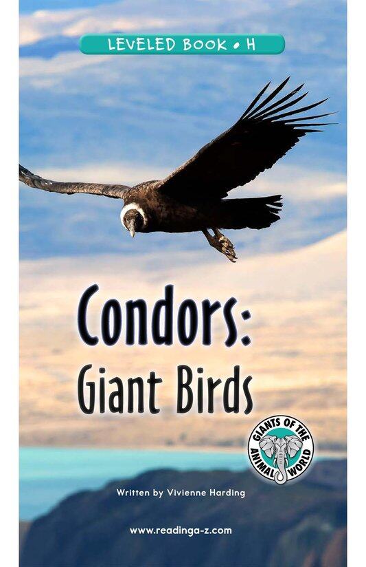 Condors Giant Birds绘本故事第2页