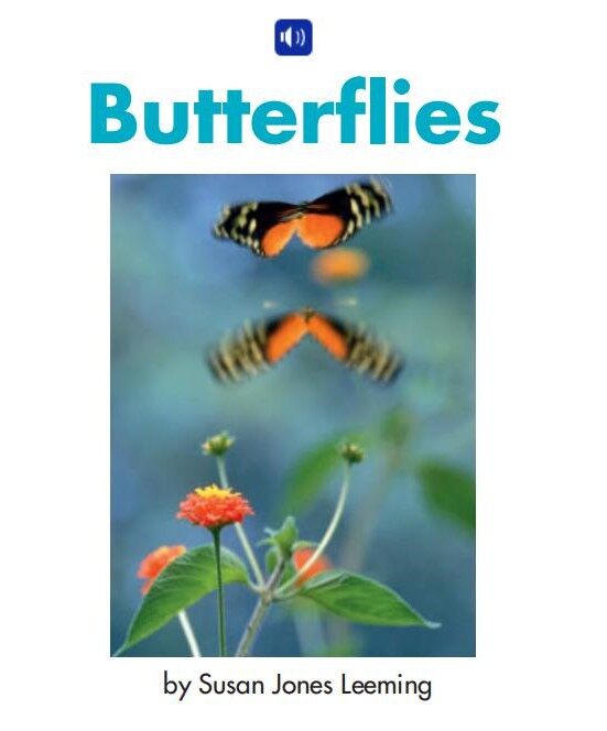 Butterflies绘本故事第2页