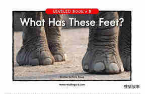 What Has These Feet