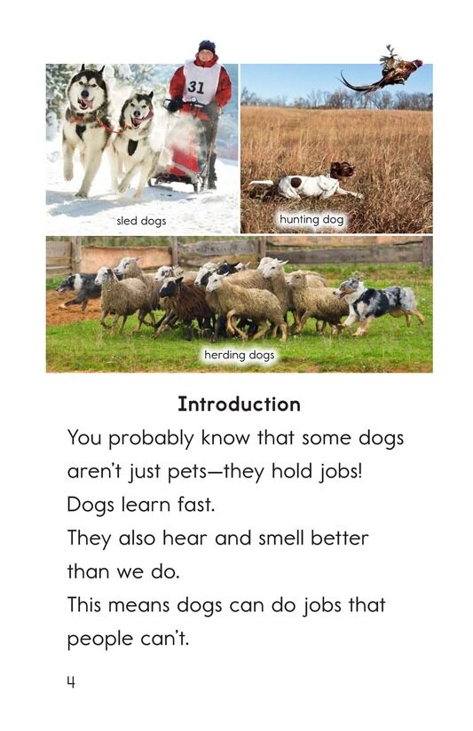 Dogs at Work绘本故事第3页