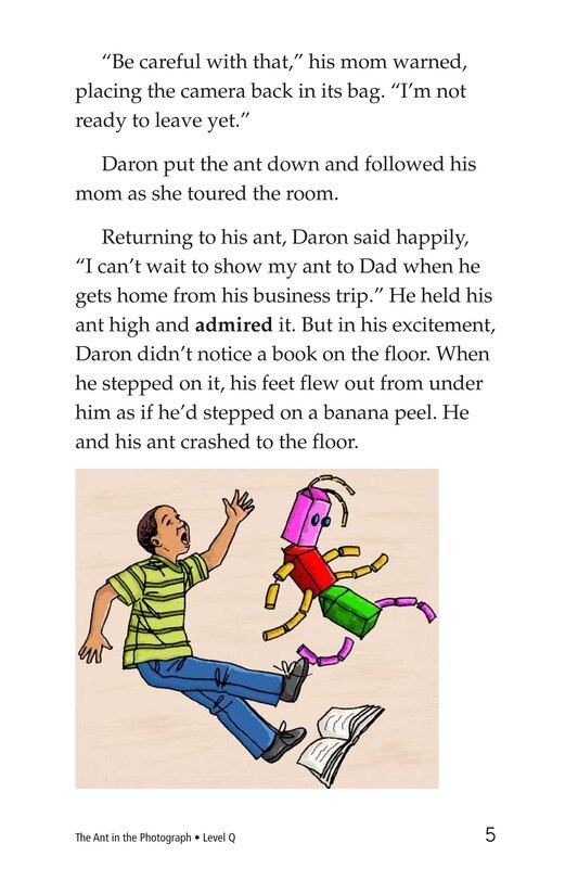 The Ant in the Photograph绘本故事第5页