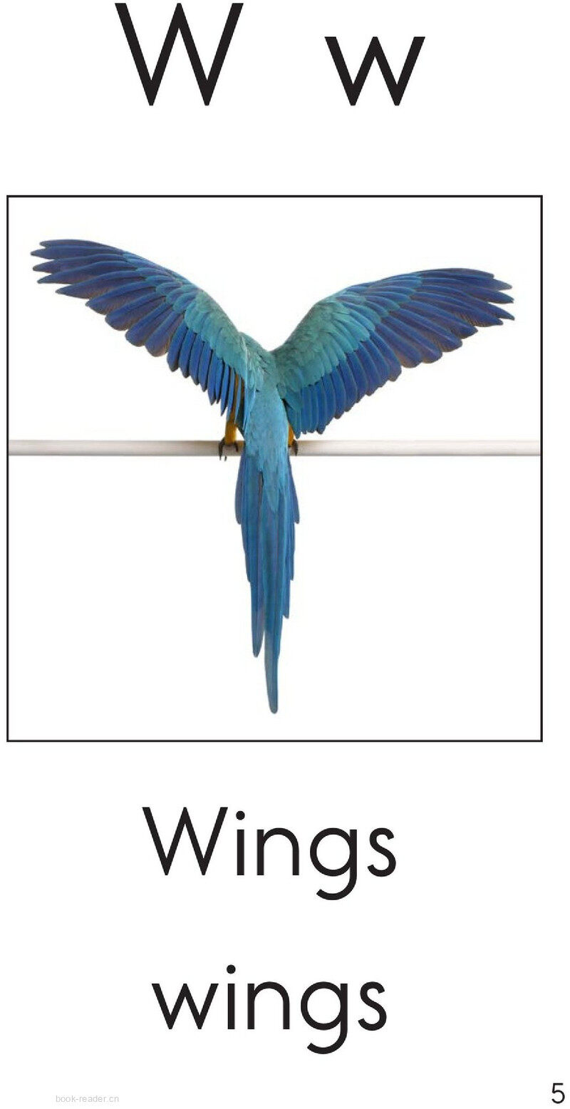 Letter W绘本故事第5页