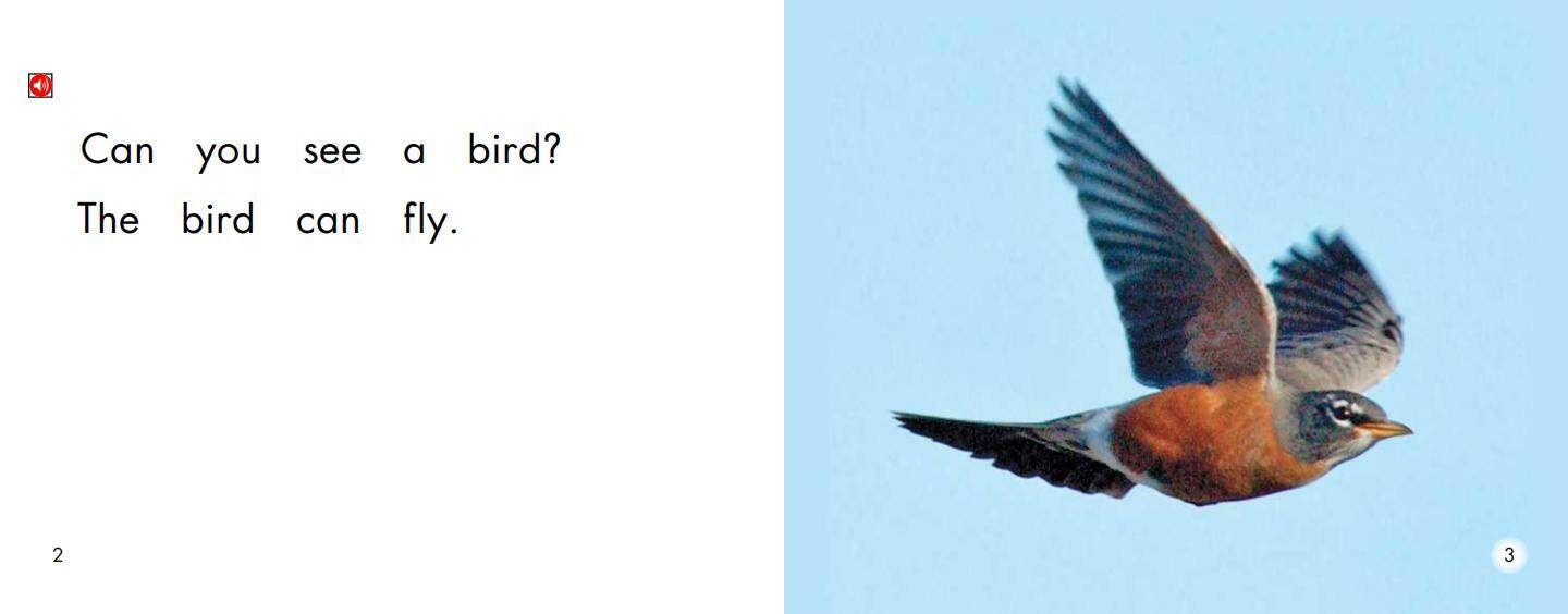 things that fly绘本故事第3页