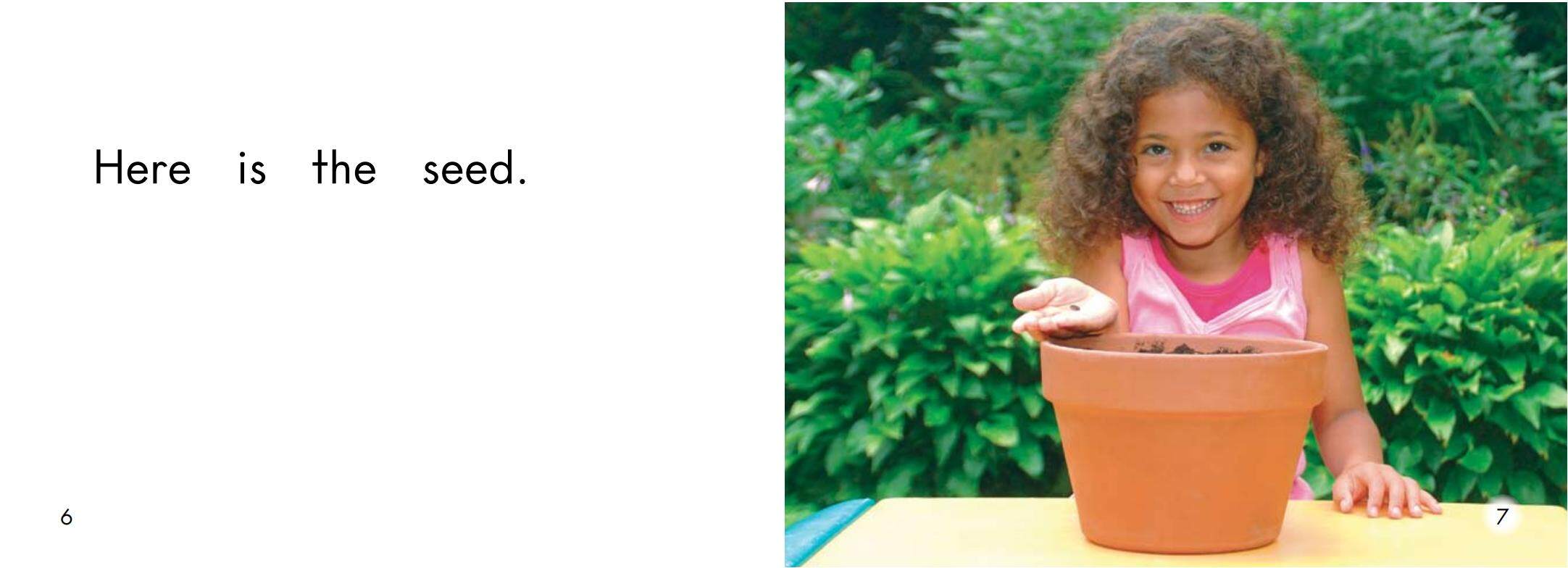 The flower绘本故事第5页