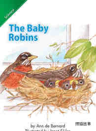 The Baby Robins