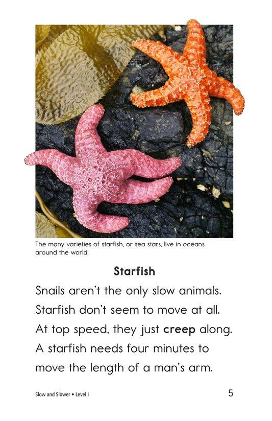 Slow and Slower绘本故事第4页