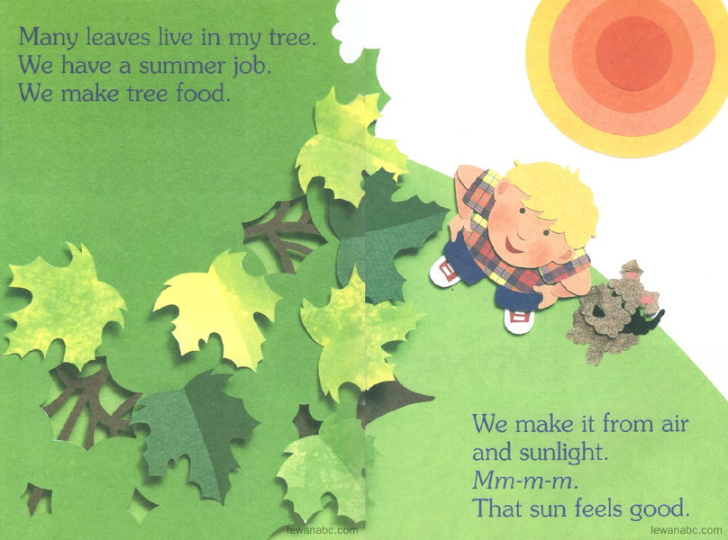 (36周)I Am a Leaf绘本故事第4页