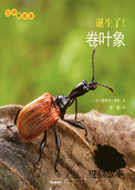 诞生了！卷叶象