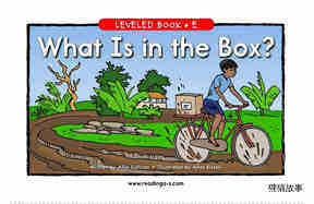 What Is in the Box