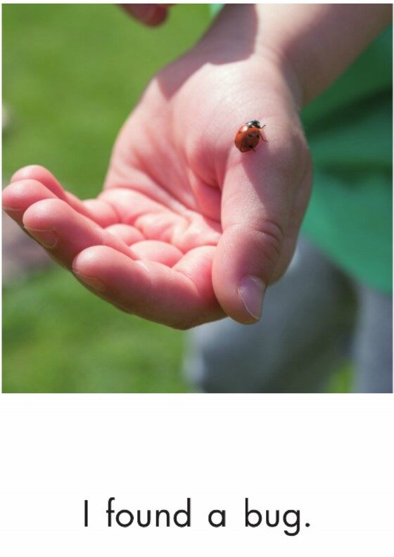 My Lucky Day绘本故事第5页