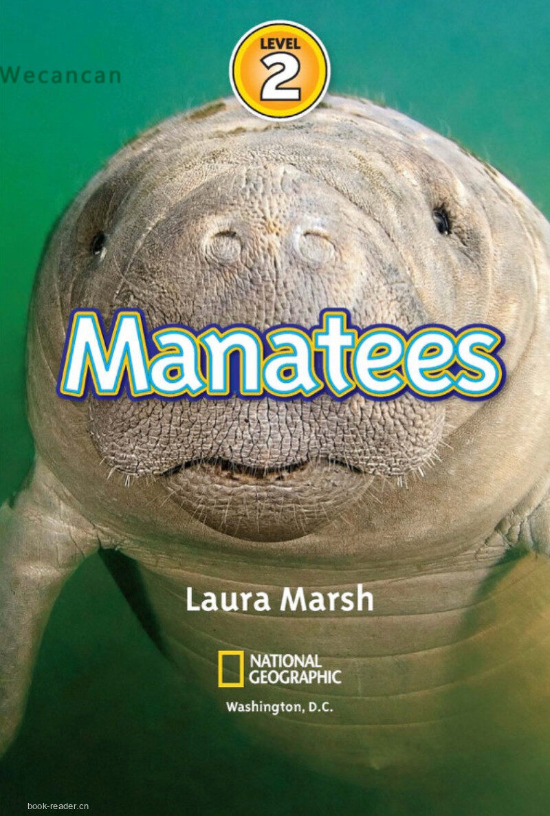 Manatees