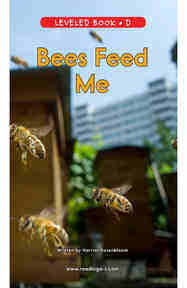 Bees Feed Me
