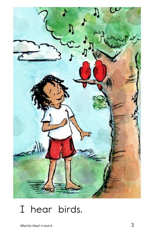 What Do I Hear绘本故事第3页