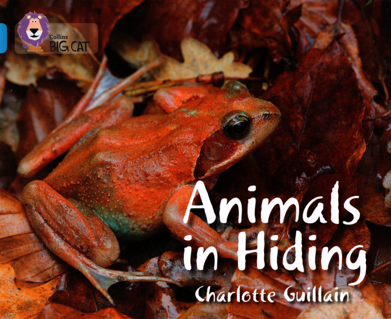 Animals in Hiding绘本故事第2页