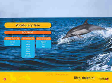 Dive Dolphin绘本故事第3页