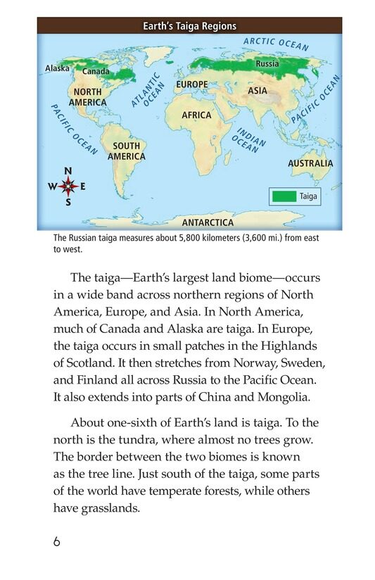 Taiga绘本故事第5页
