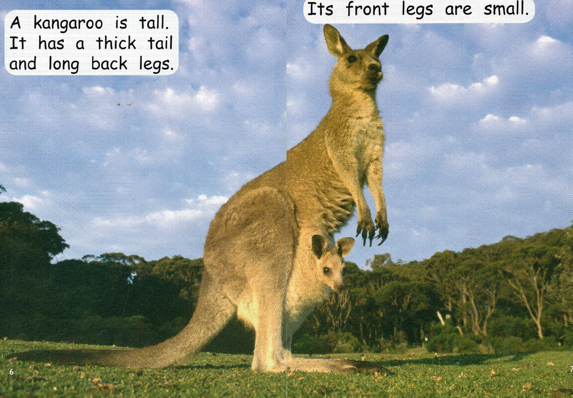 animal sizes绘本故事第5页