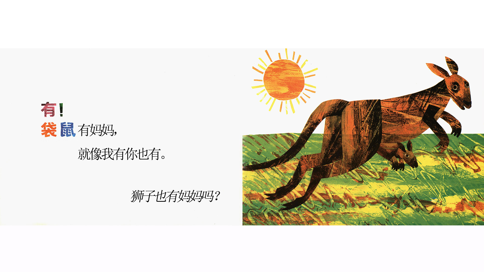 袋鼠也有妈妈吗？绘本故事第3页