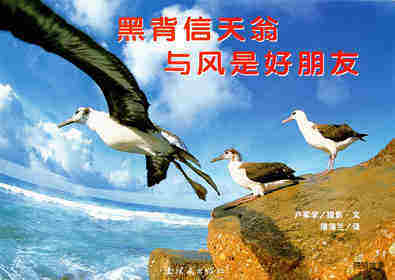 亲子绘本 黑背信天翁与风是好朋友