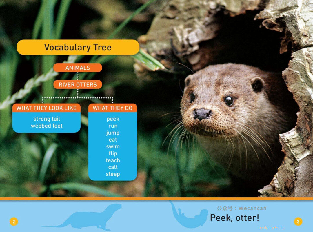 Peek Ottor绘本故事第3页