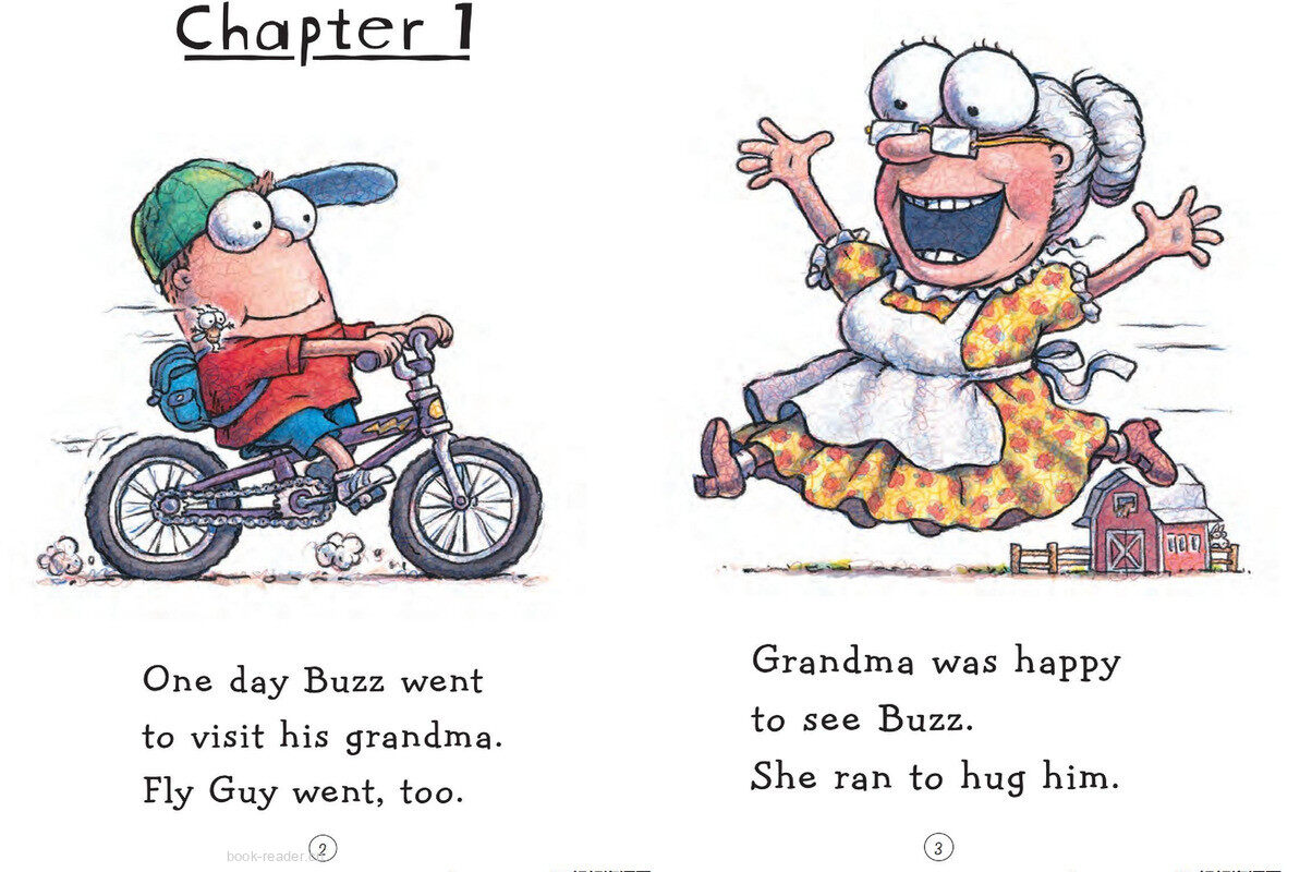 There Was An Old Lady Who Swallowed FLY GUY绘本故事第4页