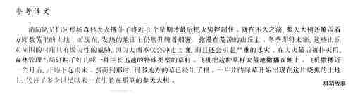 62 After the fire绘本故事第5页