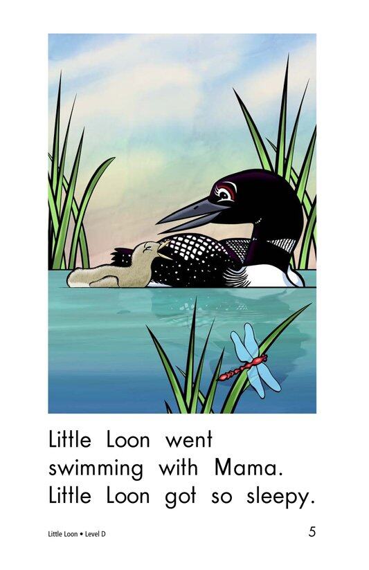 Little Loon绘本故事第5页