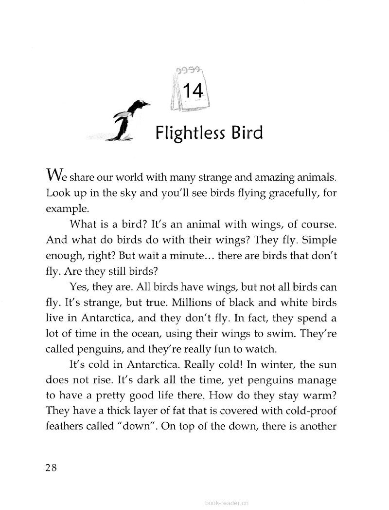 Flightless Bird绘本故事第2页